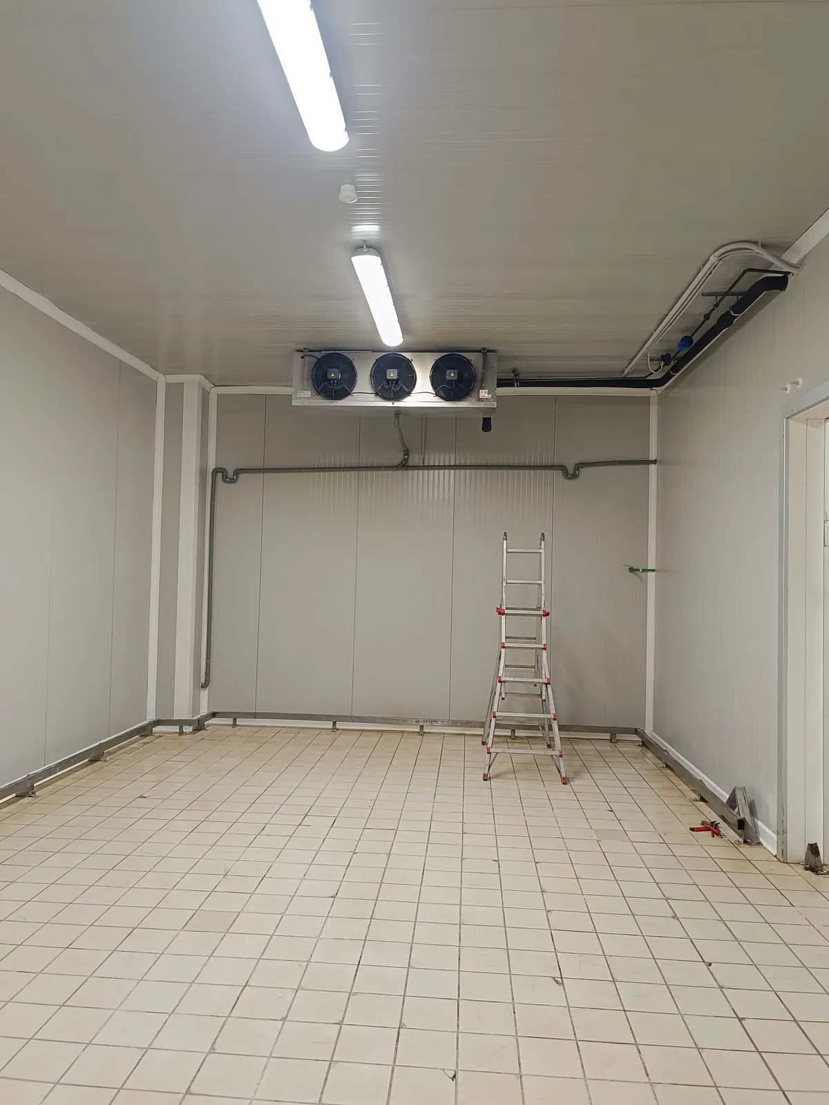 Cella frigorifera industriale con evaporatore e impianto in fase di completamento